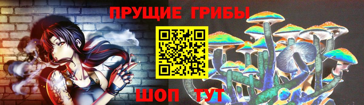 Псилоцибиновые грибы Cubensis Алексеевка