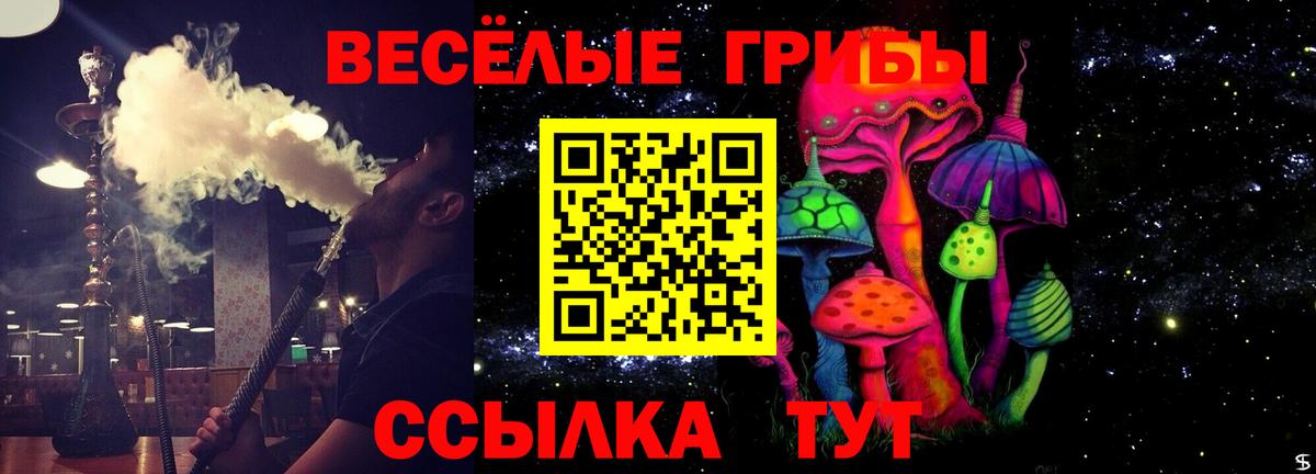 Галлюциногенные грибы Cubensis  Псилоцибиновые грибы прущие грибы  Вход с VPN  Алексеевка 